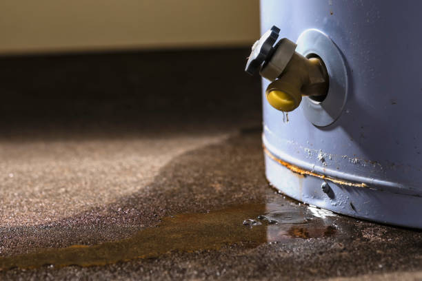 Best Mold removal after water damage  in Nassau Bay, TX