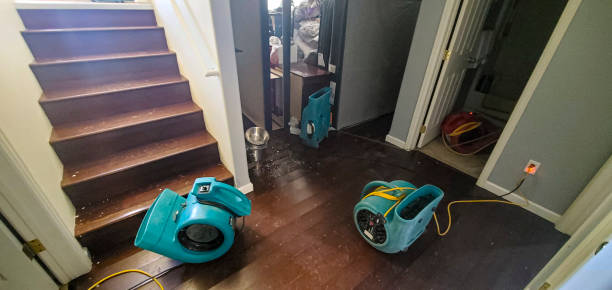 Best 24-hour water damage restoration  in Nassau Bay, TX