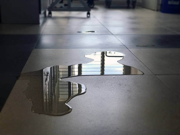 Best Water damage restoration near me  in Nassau Bay, TX