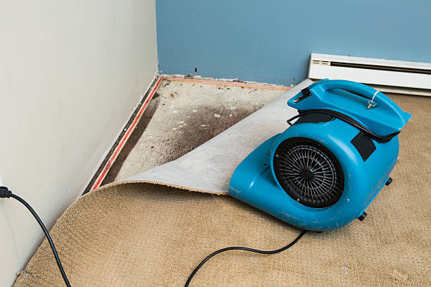 Best Professional water damage repair  in Nassau Bay, TX